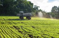 Anvisa aprova marco regulatório dos agrotóxicos