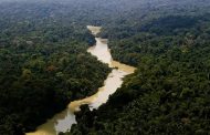 Governo entra com primeira ação por danos climáticos contra a Amazônia