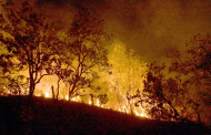 Brasil registra 278,2 mil focos de incêndio no ano, pior número desde 2010