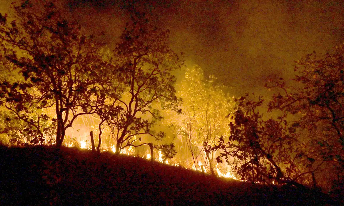 Brasil registra 278,2 mil focos de incêndio no ano, pior número desde 2010